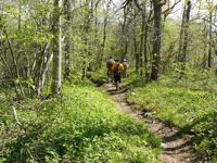 View of the trail with guys